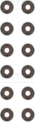 Set garnituri ax supape VICTOR REINZ 12-53036-02