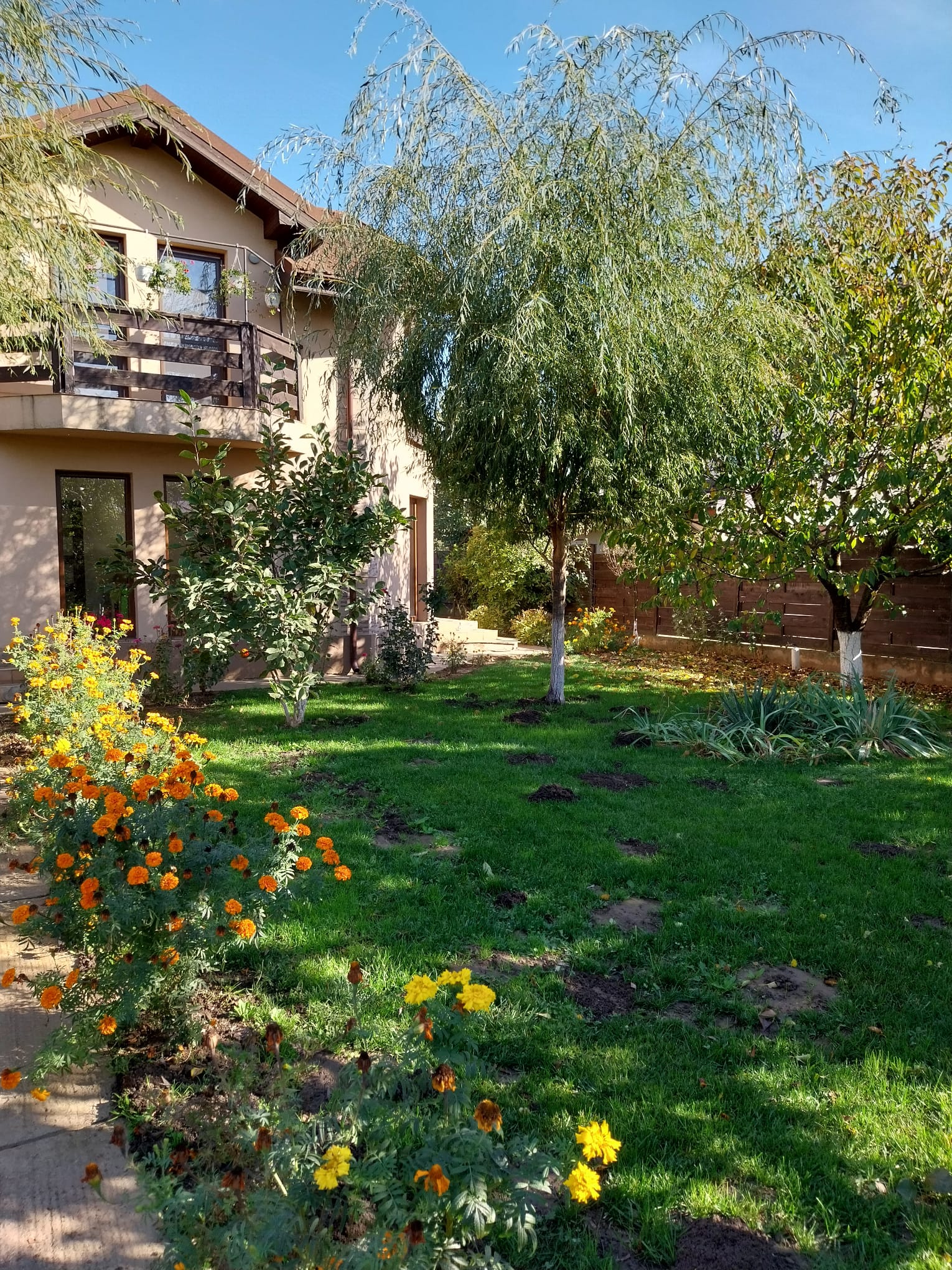 [Agentie IMOBILIARA sector 1] Casă de vânzare Domnești Teghes – proprietate individuală, zonă verde, aproape de București post thumbnail image
