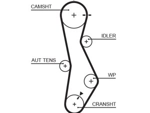 Curea de distributie KIA CEED SW (ED) 2.0 CRDi 140 diesel 140 cai GATES 5579XS