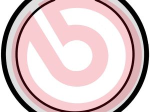 Set saboti frana frana de mana KIA OPTIMA (JF) 2.0 T-GDi benzina 238 cai BREMBO S 15 502