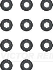 Set garnituri ax supape VICTOR REINZ 12-53489-01 – KIA | AutoRival