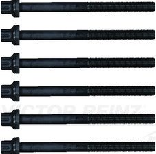 Set surub chiulasa VICTOR REINZ 14-55095-01 – KIA | AutoRival