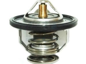 Termostat lichid racire MEAT DORIA 92294 – KIA | AutoRival