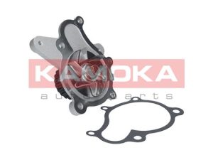 Pompa de apa KAMOKA T0160