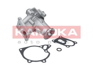 Pompa de apa KAMOKA T0161