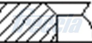 Set segmenti piston FRECCIA FR10-240200 – KIA | AutoRival