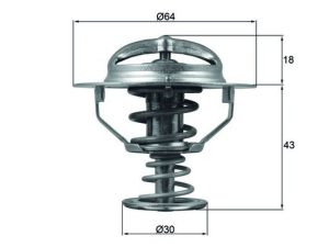 Termostat lichid racire MAHLE ORIGINAL TX 114 82D – KIA | AutoRival