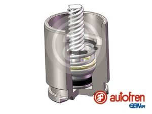 Piston etrier frana AUTOFREN SEINSA D025780K – KIA | AutoRival