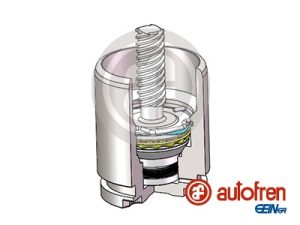 Piston etrier frana AUTOFREN SEINSA D025816K – KIA | AutoRival