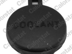 Buson vas expansiune CALORSTAT BY VERNET RC0201 – KIA | AutoRival