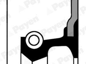 Simering arbore cotit PAYEN NA5140 – KIA | AutoRival