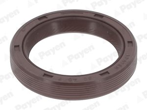 Simering ax cu came PAYEN NB998 – KIA | AutoRival