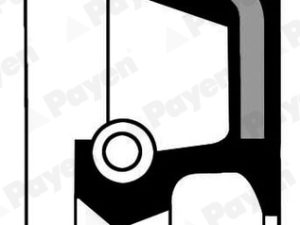 Simering arbore cotit PAYEN NC006 – KIA | AutoRival