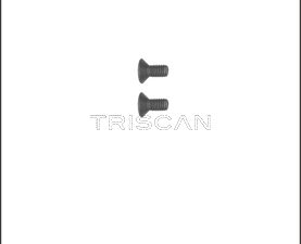 Set surub disc frana TRISCAN 8105 116006 – KIA | AutoRival