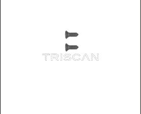 Set surub disc frana TRISCAN 8105 116008 – KIA | AutoRival
