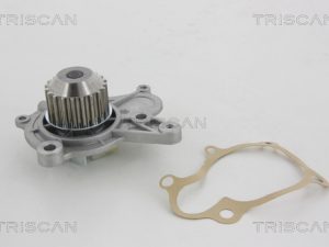 Pompa de apa TRISCAN 8600 43011 – KIA | AutoRival
