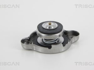 Buson radiator TRISCAN 8610 4 – KIA | AutoRival