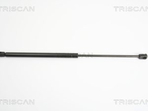 Amortizor portbagaj TRISCAN 8710 18220 – KIA | AutoRival
